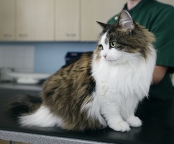 One of our patients looking relaxed on the examination table
