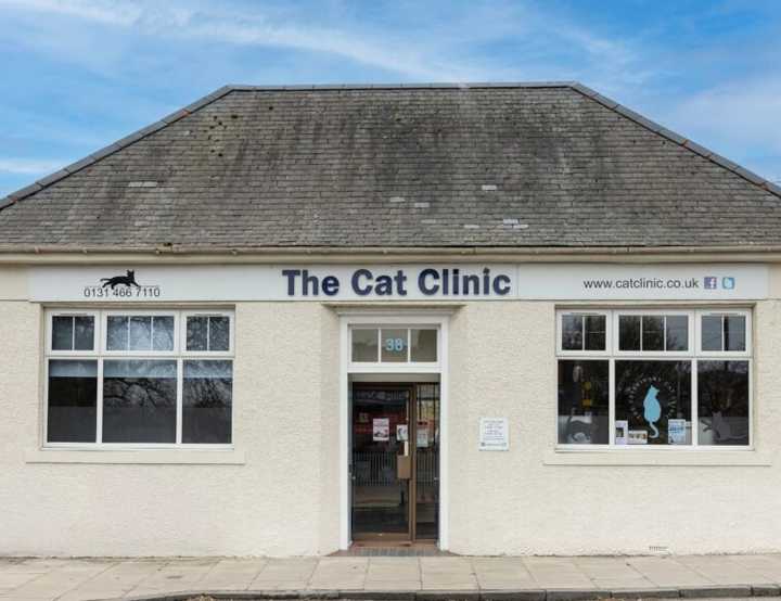 The front of the cat clinic building with one-story and two windows either side of a front door